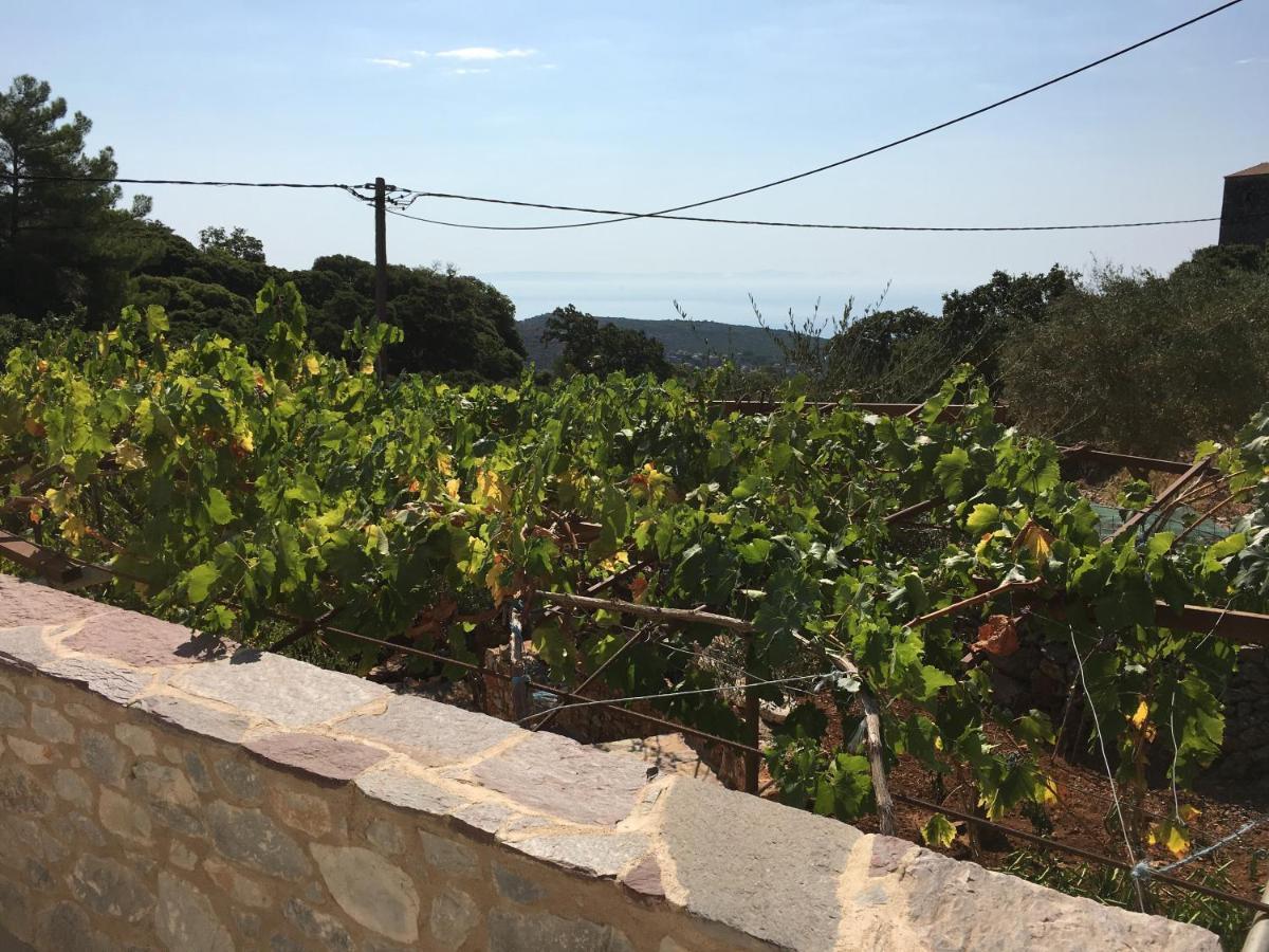 הוילה Láyia Peace In The Wildest Landscape Of Mani מראה חיצוני תמונה
